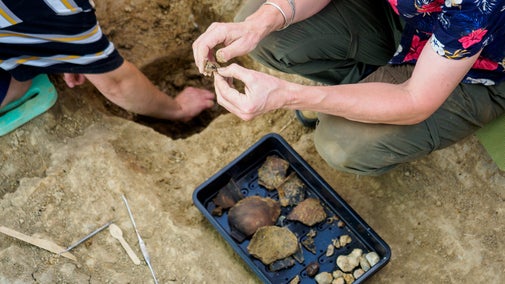 Excavation of Roman pottery and animal bone at Smallhythe Place in 2022